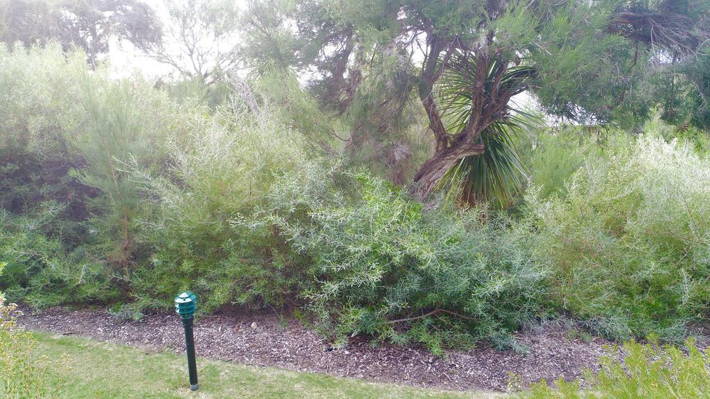 Margaret River Beach Apartments Gnarabup Buitenkant foto